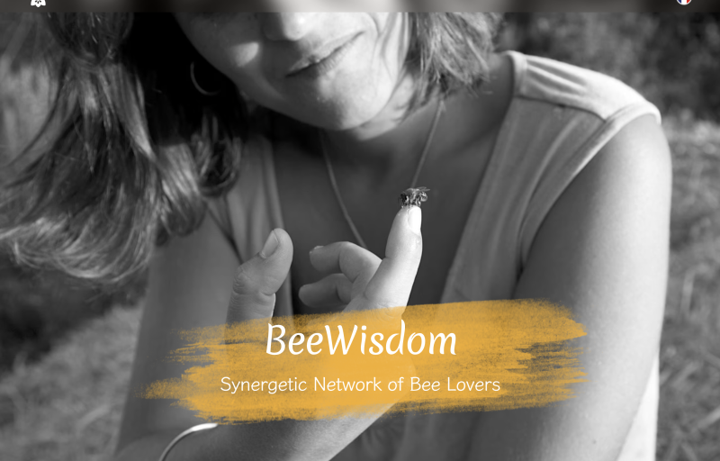 Bee care website development