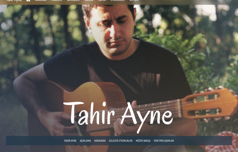Artist Website Development - Tahir Ayne